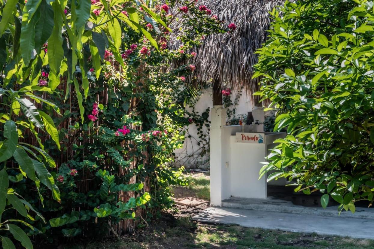 Zoah Surf Boutique Hotel, El Paredon El Paredon Buena Vista Екстер'єр фото